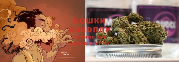 дживик Россошь