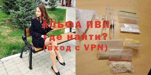 бошки Гатчина