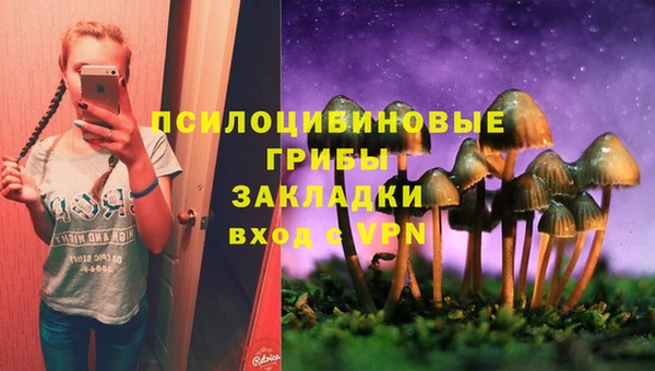 прущий лед Алексин
