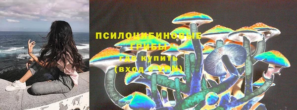 спайс Алзамай