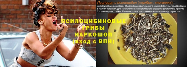 a pvp Галич