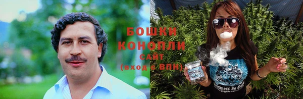 бошки Гатчина