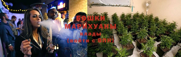 спайс Алзамай
