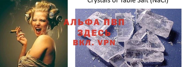 спайс Алзамай