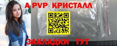 спайс Кингисепп
