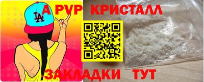 спайс Кингисепп