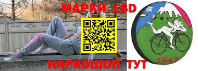 винт Кимры