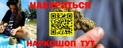 спайс Кингисепп