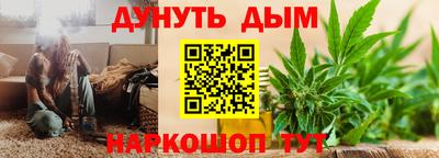 спайс Кингисепп