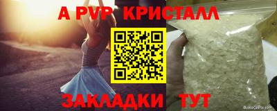 спайс Кингисепп
