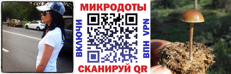 где найти   Мирный  Галлюциногенные грибы Magic Shrooms 