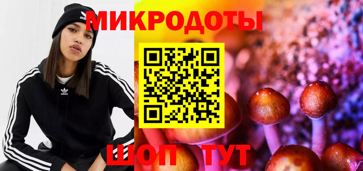 Псилоцибиновые грибы мухоморы  Вход с VPN  Мирный  Псилоцибиновые грибы Psilocybe 